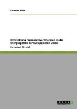 Entwicklung regenerativer Energien in der Energiepolitik der Europaischen Union