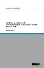 Konflikte um katholische Volksfrömmigkeit in Deutschland im 19. Jahrhundert