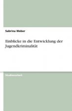 Einblicke in die Entwicklung der Jugendkriminalität
