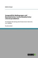 Ausgewählte Bedingungen und Besonderheiten hochmittelalterlicher Literaturproduktion