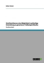 Sind Remittances eine Moeglichkeit nachhaltige Entwicklung zu generieren? Fallbeispiel Mexiko