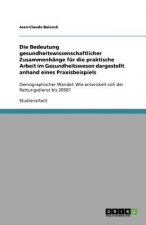 Bedeutung gesundheitswissenschaftlicher Zusammenhange fur die praktische Arbeit im Gesundheitswesen dargestellt anhand eines Praxisbeispiels