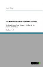 Die Aneignung des stadtischen Raumes