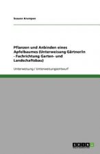 Pflanzen und Anbinden eines Apfelbaumes (Unterweisung Gärtner/in - Fachrichtung Garten- und Landschaftsbau)