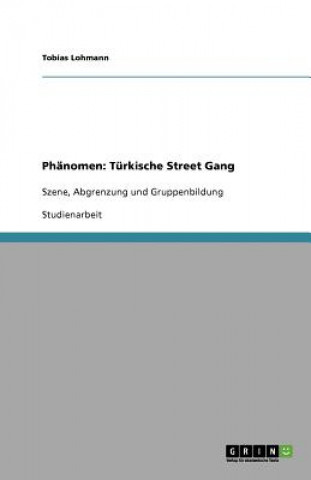 Phänomen: Türkische Street Gang