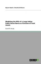 Modeling the NPA of a Large Indian Public Sector Bank as a Function of Total Assets