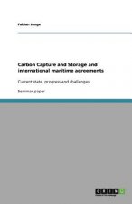 Carbon Capture and Storage and international maritime agreements