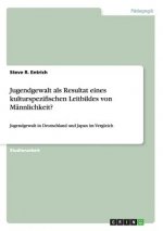Jugendgewalt als Resultat eines kulturspezifischen Leitbildes von Mannlichkeit?