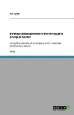 Strategic Management in the Renewable Energies Sector