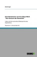 Eine Renzension von Eva Illouz Werk 