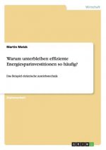 Warum unterbleiben effiziente Energiesparinvestitionen so häufig?