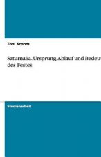 Saturnalia. Ursprung, Ablauf und Bedeutung des Festes