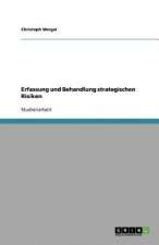 Erfassung und Behandlung strategischen Risiken