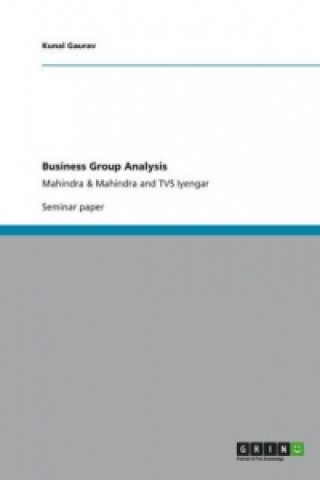 Business Group Analysis