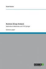 Business Group Analysis