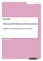 Chancen und Probleme des Ethnotourismus