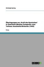 UEberlegungen zur, Kraft des Ikonischen' in Stanislaw Muchas Fotografie vom Torhaus Auschwitz-Birkenau (1945)