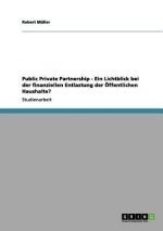 Public Private Partnership - Ein Lichtblick bei der finanziellen Entlastung der OEffentlichen Haushalte?