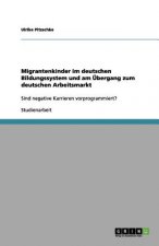 Migrantenkinder Im Deutschen Bildungssystem Und Am  bergang Zum Deutschen Arbeitsmarkt
