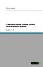 Effektives Arbeiten im Team und die Entwicklung von Gruppen