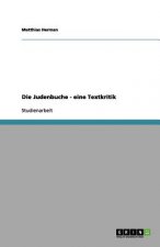 Judenbuche - eine Textkritik