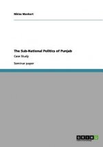 Sub-National Politics of Punjab