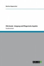 Die Peg-Sonde. Anwendung Und Pflegerische Aspekte
