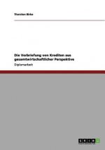 Verbriefung von Krediten aus gesamtwirtschaftlicher Perspektive