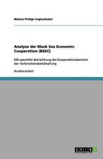 Analyse der Black Sea Economic Cooperation (BSEC)