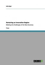 Nurturing an Innovation Region