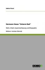 Hermann Hesse Unterm Rad