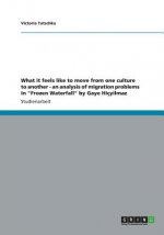 What it feels like to move from one culture to another - an analysis of migration problems in Frozen Waterfall by Gaye Hicyilmaz