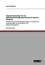 Expansionsstrategie fur ein B2B-Dienstleistungsunternehmen im Bereich Werbung