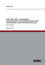 Drain oder Gain? - Die polnische Arbeitsmigration nach Grossbritannien, Irland und Schweden seit der EU-Osterweiterung