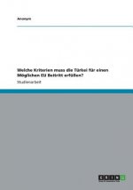 Welche Kriterien muss die Turkei fur einen Moeglichen EU Beitritt erfullen?