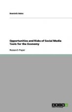 Opportunities and Risks of Social Media Tools for the Economy
