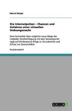 Internetpolizei - Chancen und Gefahren einer virtuellen Ordnungsmacht