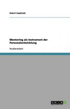 Mentoring ALS Instrument Der Personalentwicklung
