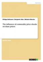 influence of commodity price shocks on share prices