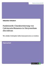 Funktionelle Charakterisierung von Calcineurin-Mutanten in Dictyostelium discoideum