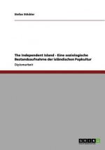 Independent Island - Eine soziologische Bestandsaufnahme der islandischen Popkultur