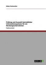 Prufung und Auswahl betrieblicher Informationssysteme fur ein Beratungsunternehmen