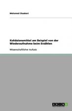 Kohäsionsmittel am Beispiel von der Wiederaufnahme beim Erzählen