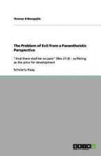 Problem of Evil from a Panentheistic Perspective