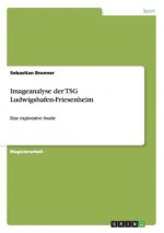 Imageanalyse der TSG Ludwigshafen-Friesenheim