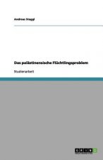 palastinensische Fluchtlingsproblem