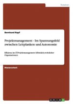 Projektmanagement - Im Spannungsfeld zwischen Leitplanken und Autonomie