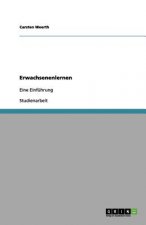 Erwachsenenlernen