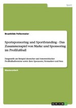 Sportsponsoring und Sportbranding. Das Zusammenspiel von Marke und Sponsoring im Profifussball