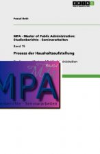 Prozess Der Haushaltsaufstellung